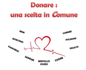 Donare una scelta in Comune
