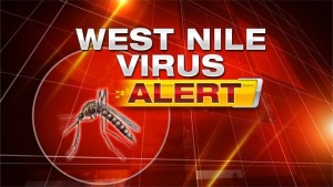 West Nile Virus Alert