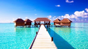 202331__tropical-cabins_p