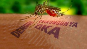 virus-zika-italia-1