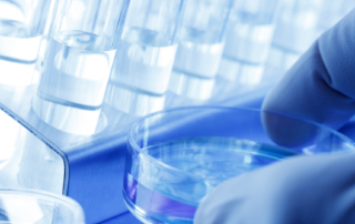 ricerca scientifica